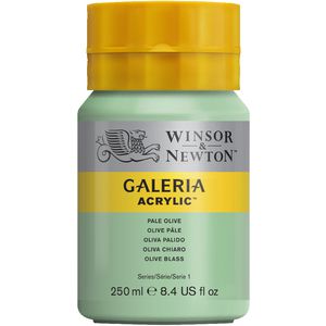 Winsor & Newton Galeria Acrylic Paint 250mL Pale Olive