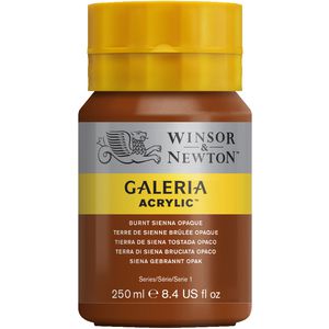 Winsor & Newton Acrylic Paint 250mL Burnt Sienna Opaque