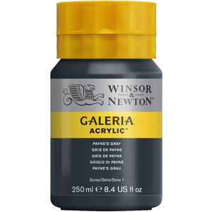 Winsor & Newton Galeria Acrylic Paint 250mL Paynes Grey