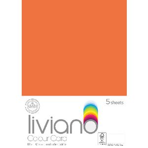 Liviano A3 Colour Card 180gsm Orange 5 Pack