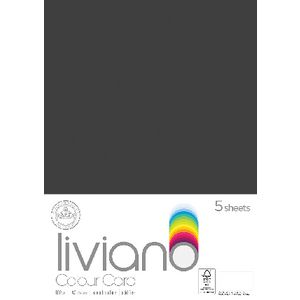 Liviano A3 Colour Card 180gsm Black 5 Pack
