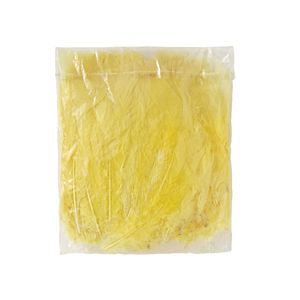 Jasart Large Feathers 30g Yellow