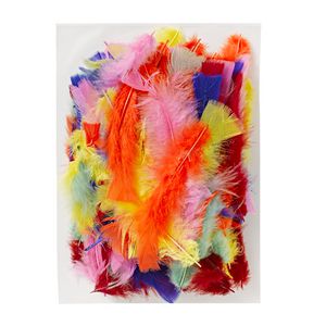 Jasart Large Feathers 30g Assorted