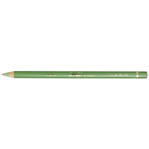 Conte Pastel Pencil Green Grey 051