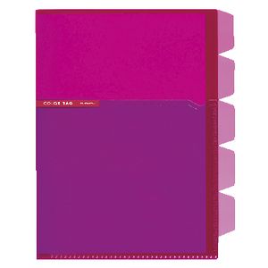 Kokuyo Color Tag A5 Bi-Color Letter File 5 Tab Pink/Dark Pink