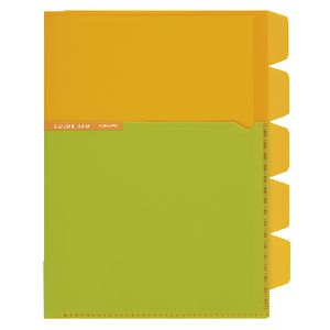 Kokuyo Color Tag A5 Bi-Color Letter File 5 Tab Yellow/Green