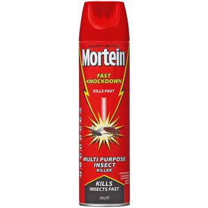 Mortein Fast Knockdown Spray 300gm