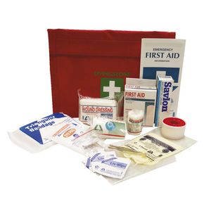 Livingstone Auto First Aid Kit in Nylon Bag