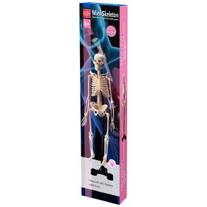 Fandex Mini Skeleton