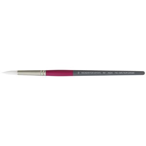 Roymac Taklon Brush 907 Series Size 10