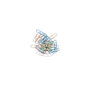 Otto 28mm Paper Clips 140 Pack