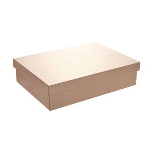 Otto A4 Metallic Storage Box Rose Gold