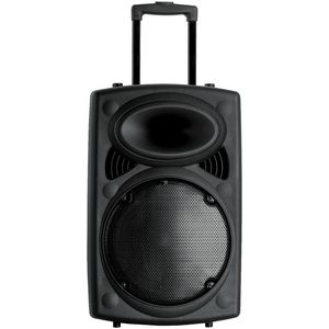 Tono 12" Bluetooth PA Speaker