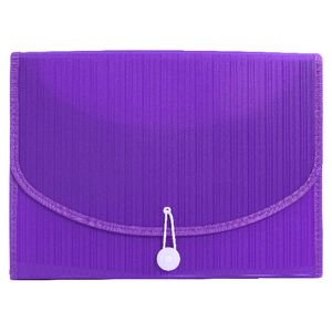 Expanding File A4 13 Pocket Violet