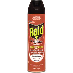 Raid One Shot Odourless Insect Spray 375g