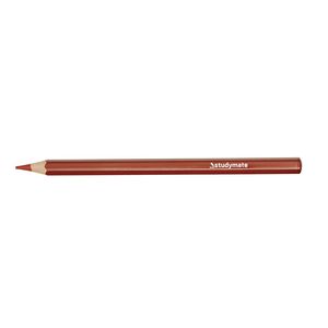 Studymate Jumbo Coloured Pencil Brown