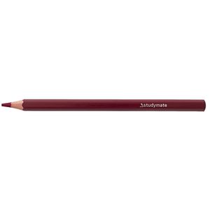 Studymate Jumbo Coloured Pencil Deep Brown