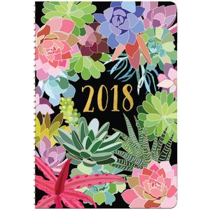 Studio Oh! So On Time Weekly Planner Succulents