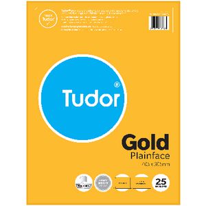 Tudor 405 x 305mm Kraft Envelopes 25 Pack