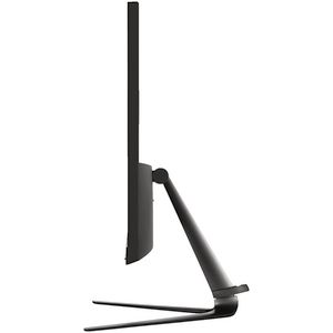 Lenovo 23.8" ThinkVision L24i-10 Monitor