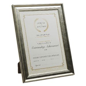 Lifestyle Brands A4 Certificate Frame Gold