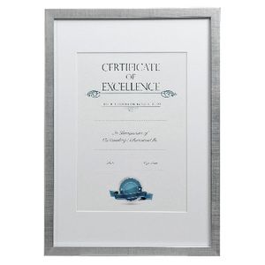 Lifestyle Brands A3 Certificate Frame Brushed Silver 100 Pack