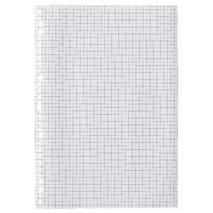 X A4 Grid Loose Leaf Refills 100 Pack