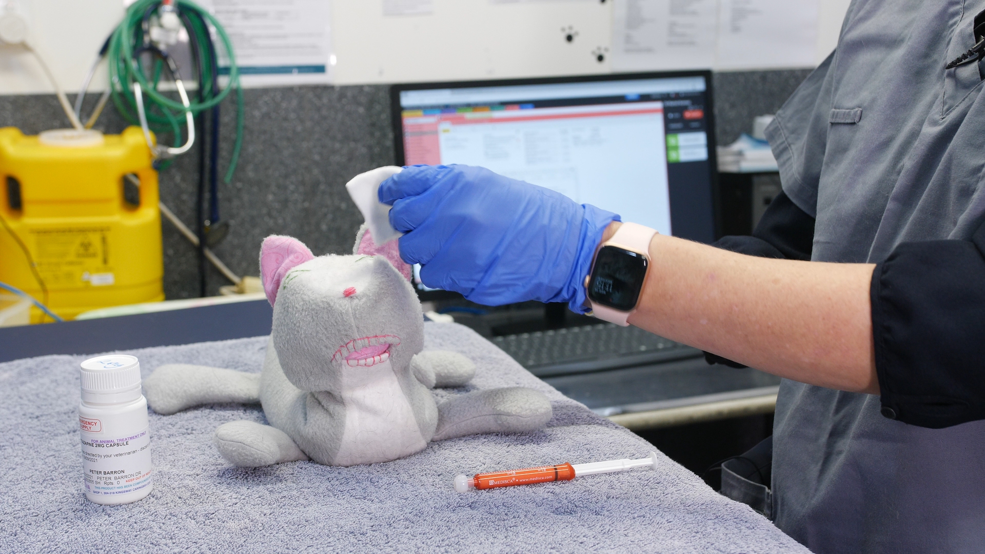 Using mirtazapine as an appetite stimulant in cats VSS