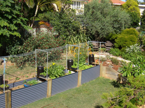 Garden Design Brisbane plan to plant - horticultural garden design services - garden styles Garden Design Brisbane plan to plant - horticultural garden design services - garden styles