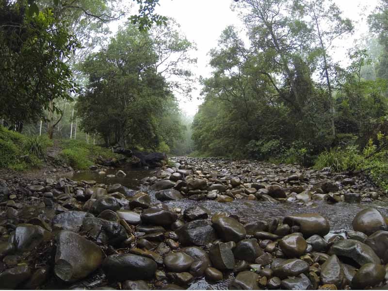 Frying Pan Creek, Chinchester State Forest