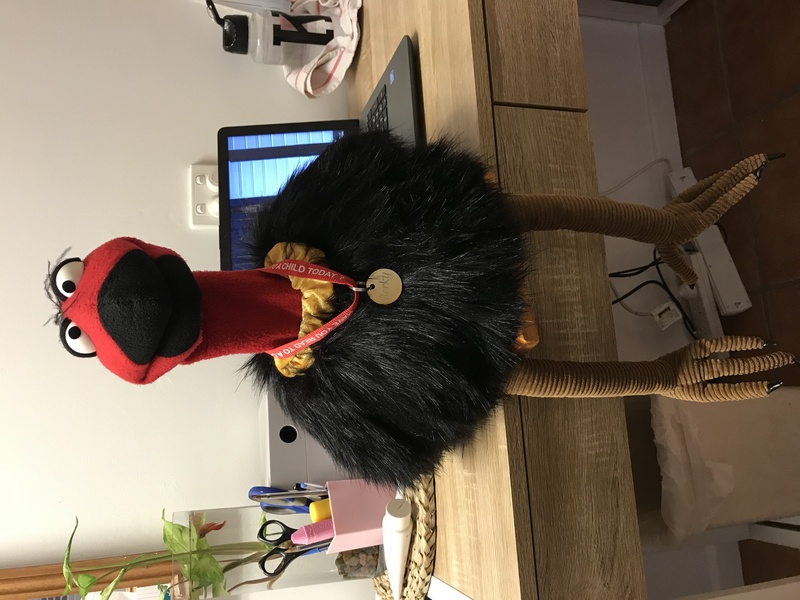 Berky the Brush Turkey