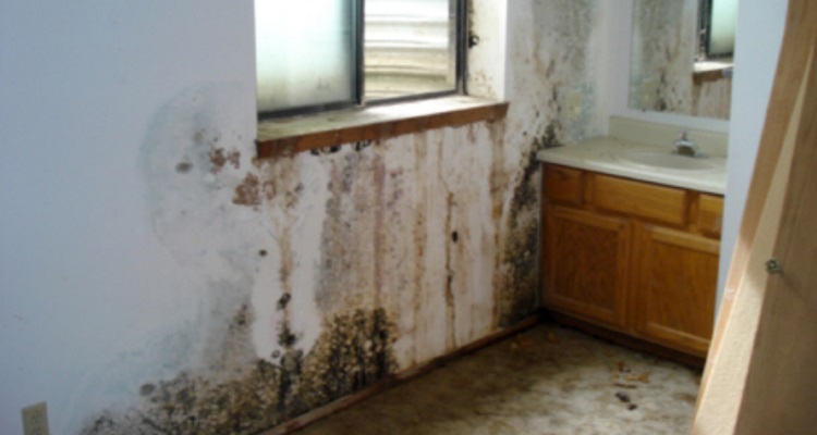 Water & Flood Damage Restoration