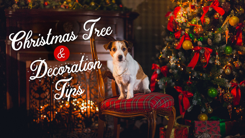 PetSafe Decorating Tips for Christmas