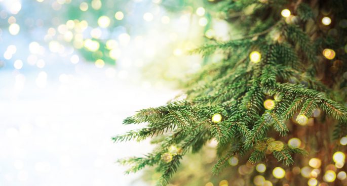 christmas has come early or at least just around the corner as the expressionists share some of their favourite christmas related idioms - Christmas Idioms christmas has come early or at least just around the corner as the expressionists share some of their favourite christmas related idioms - Christmas Idioms