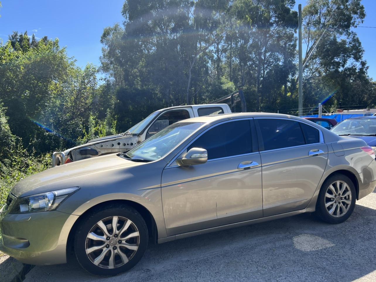 Radio/Cd/Dvd/Sat/Tv Accord Honda 2008