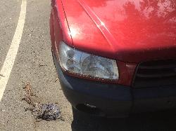 View Auto part Trans/Gearbox Subaru Forester 2002