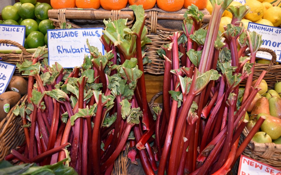 Three ways with rhubarb!