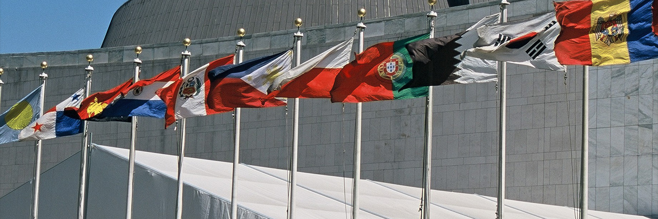 UN Flags
