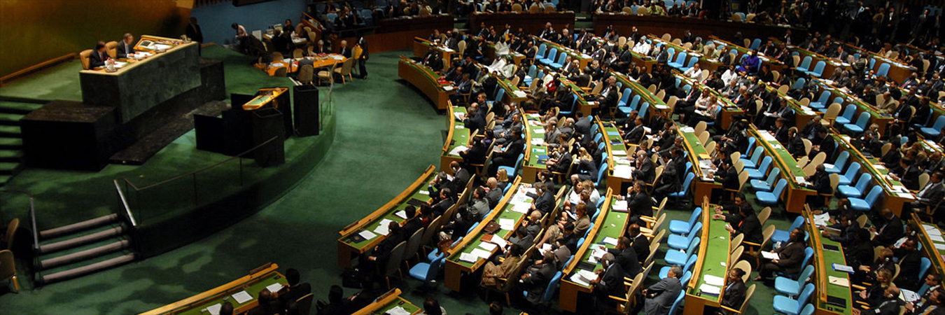 SR110_Elections-at-UN_Banner