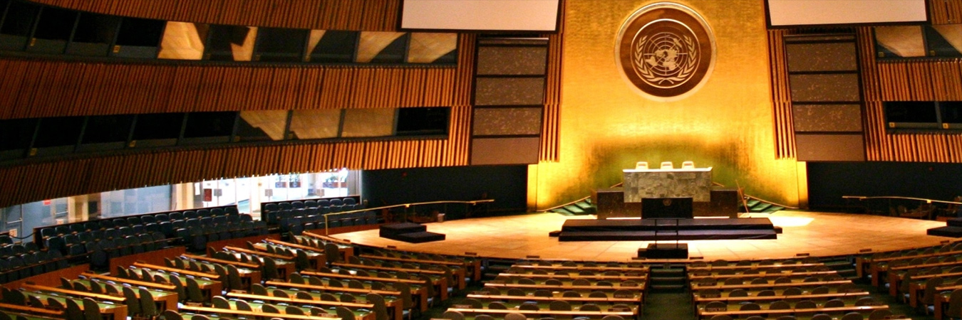 UN Assembly