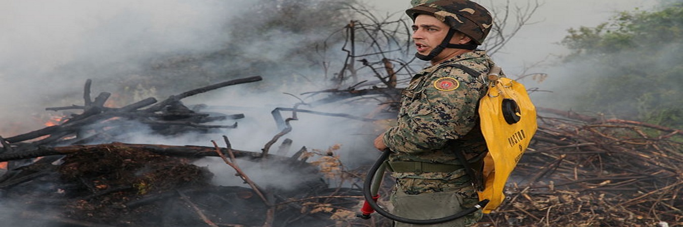 Promoting Disaster Resilience