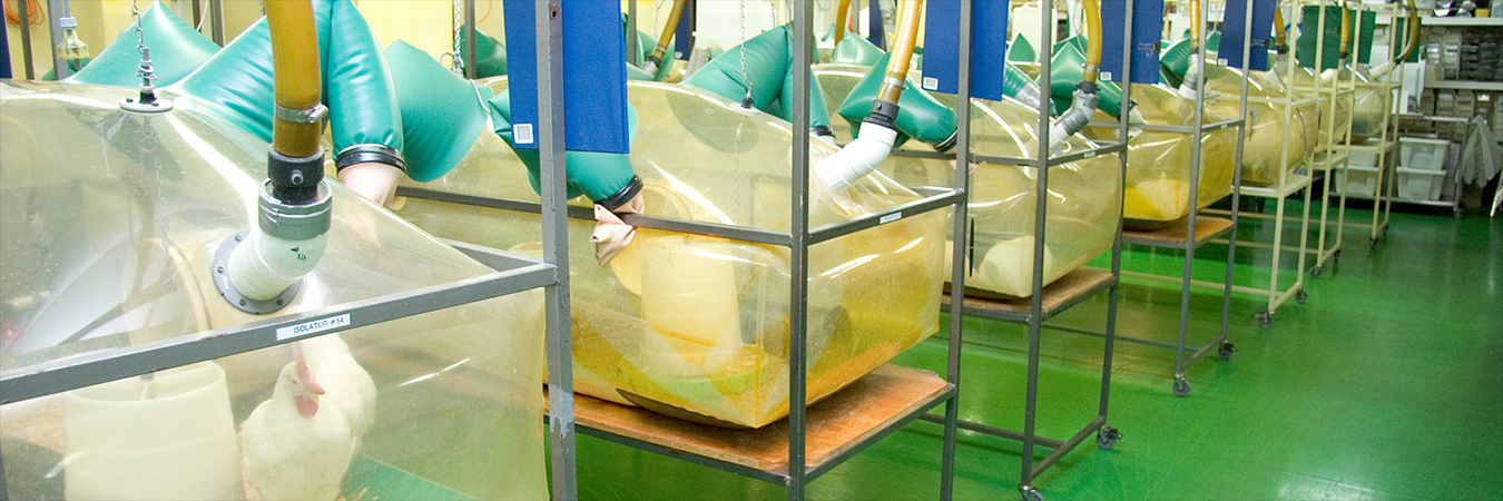 Biosecurity lab