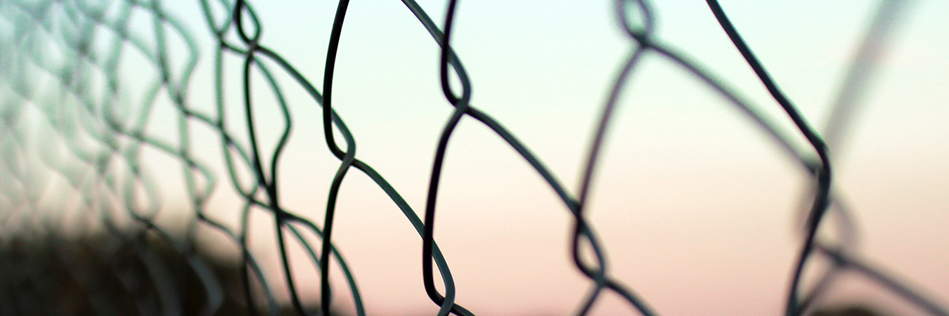 Fence - chain link