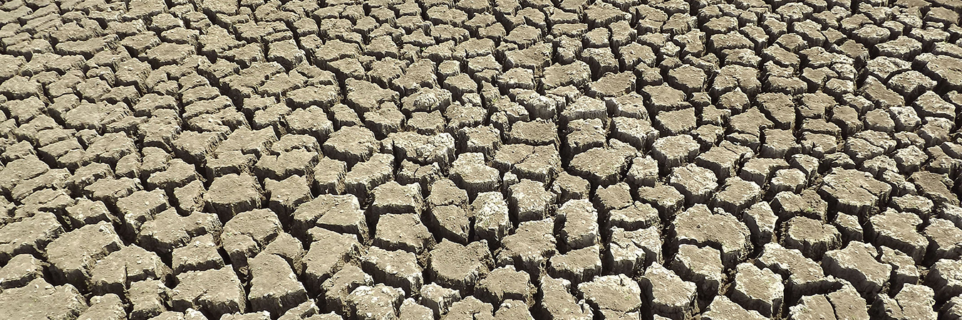 Drought