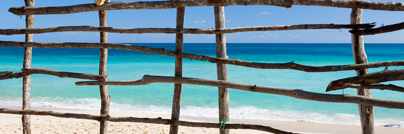 Sea Fence