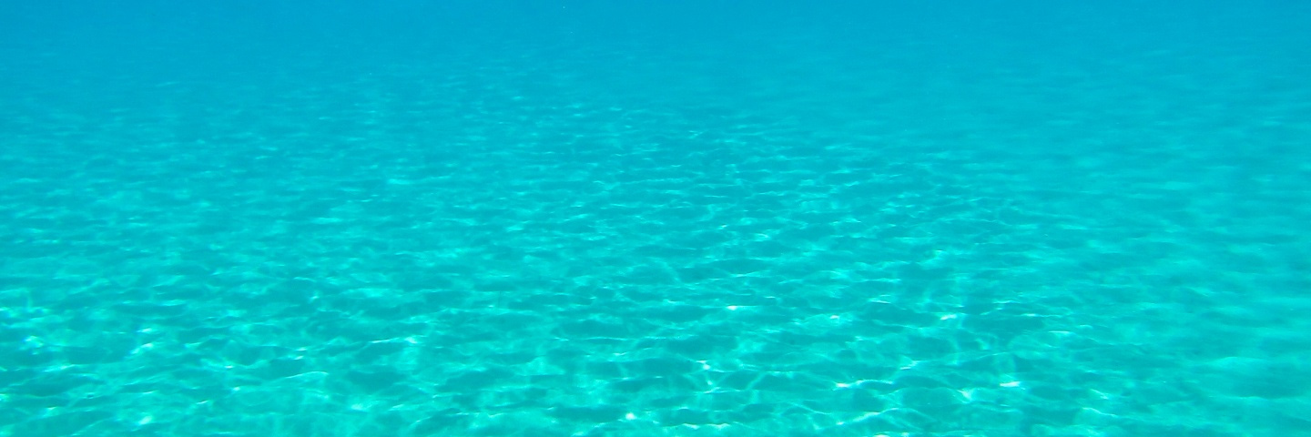 Underwater banner