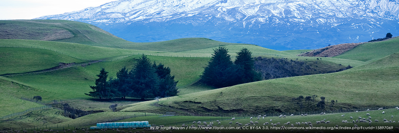 NZ Landscape. By © Jorge Royan / http://www.royan.com.ar, CC BY-SA 3.0, https://commons.wikimedia.org/w/index.php?curid=15897069