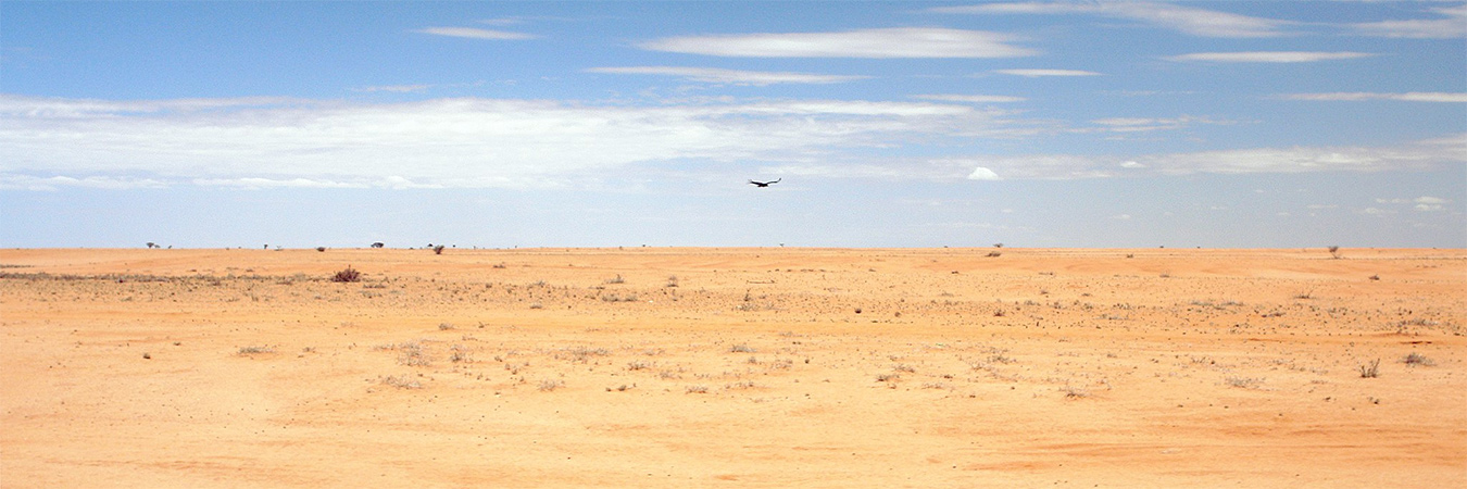 Desert