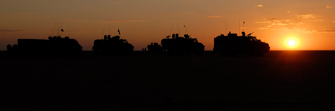 Bushmaster case study - banner