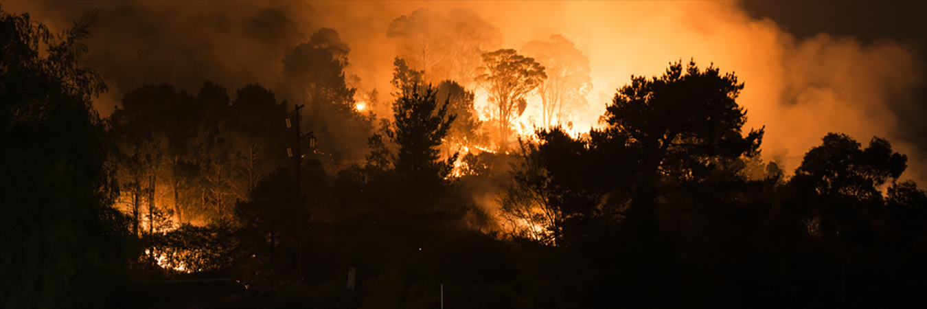 Bushfire 20200129